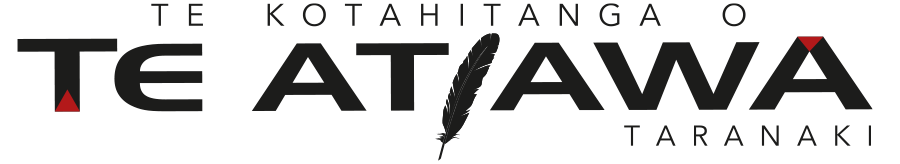 The Promo Room logo